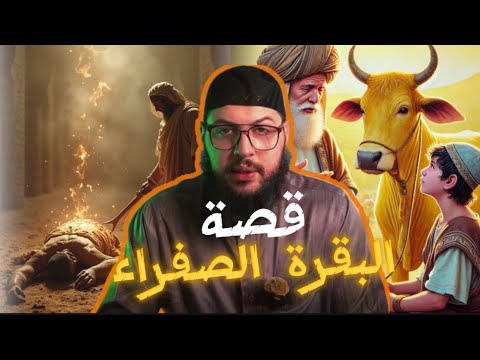 قصة البقرة الصفراء كاملة