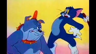 Tom And Jerry English Episodes - Cat Fishin - Cartoons For Kids