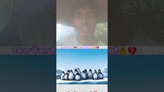 एकता में बल है #1million #animals #ekta