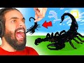 اي طعام تبنيه في ماين كرافت انا اكله