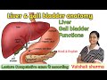 Liver Anatomy | लीवर |Liver &amp; Gall bladder |Digestive system Anatomy and Physiology |Liver function