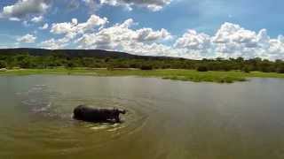 Rwanda, Fly In The Sky, The Country Of A Thousand Hills