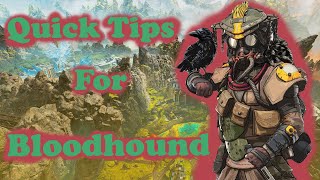 Bloodhound Apex Legends  Quick Tips