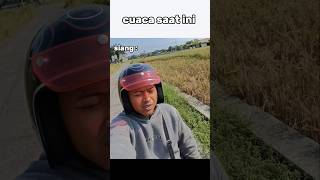 cuaca sata ini #shorts #hiburan #shortsvideo