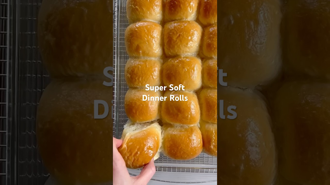 Soft Dinner Rolls