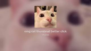Omg Cat Thumbnail Better Click