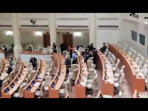 ეკა ბესელიამ დეპუტატებს მოსამართლეების ბიოგრაფიები დაურიგა