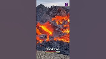 Surah Az-Zalzalah سورة الزلزله #tilawat #alquran #shotrs #viralvideo #islamicproductions