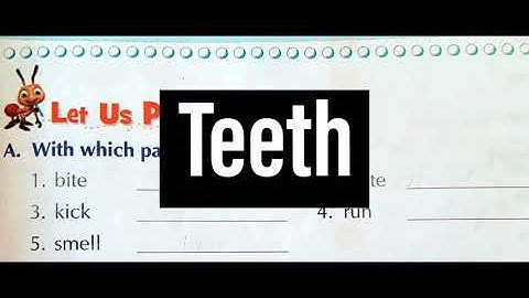 Class 1 EVS Lesson 2 My Body Parts