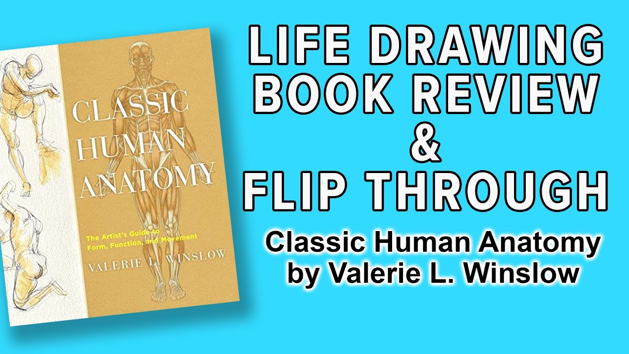 Classic Human Anatomy by Valerie L Winslow Review and Flip Through