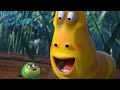 LARVA - THE BABY | Cartoon Movie | Videos For Kids | Larva Cartoon | LARVA Official