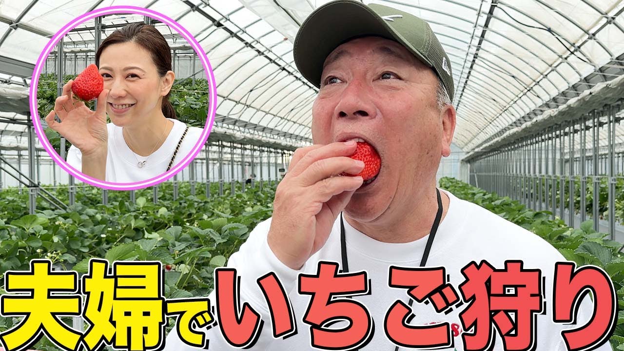 【異色】元中日ドラゴンズの三ツ間さんが運営するいちご農園に行ってみた！