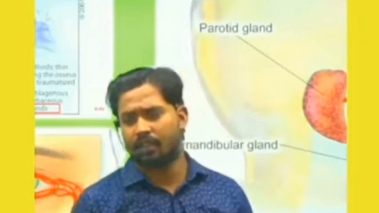 Lucknow girl expose 😂😂