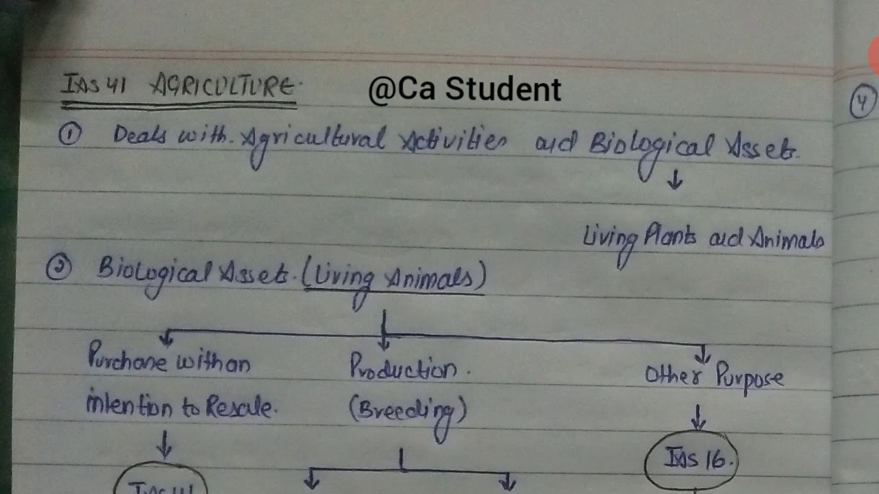 ias-41-agriculture-summary-notes-youtube