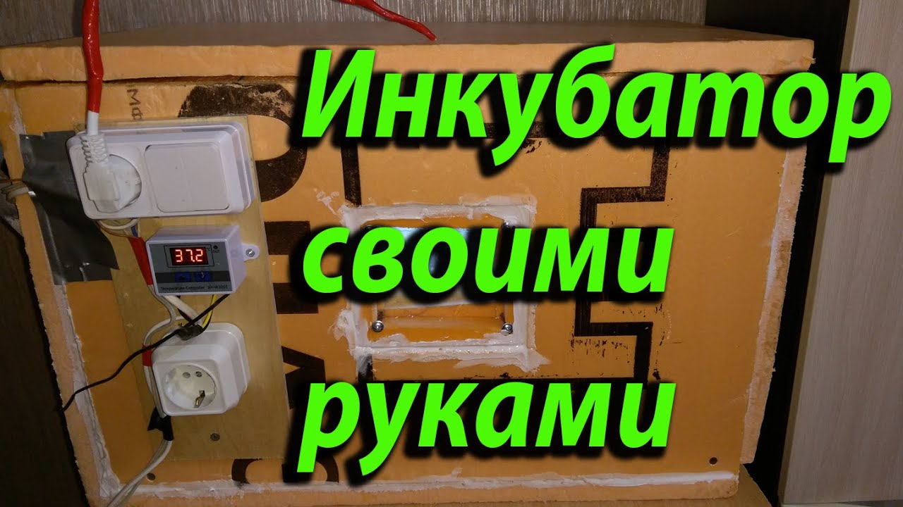 ЖУРНАЛ HOUSECHIEF Как сделать инкубатор своими руками