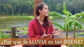 AGUA DE LLUVIA y sus beneficios a la plantas by Mi Jardin en el Desierto 45,014 views 8 months ago 24 minutes