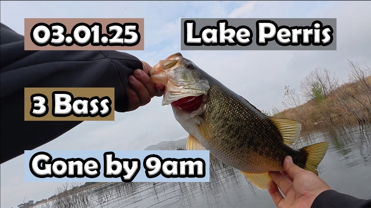 Lake Perris Bass Fishing: 3 Bass. In 2 hours.  #lakeperrisfishing #winterbassfishing