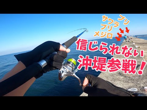 【ショアジギング】超青物祭りの沖堤防がもうめちゃくちゃ！４打数？安打達成！【岸和田一文字、ハマチ編】