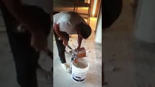 IMG 7088