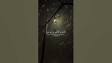 ،👈 سورة العنكبوت 🤲🤲للقارئ إسلام صبحي