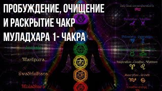 Чакры Муладхара 1-я чакра ✻ Пробуждение Очищение и Раскрытие Чакр ॐ Целительная музыка