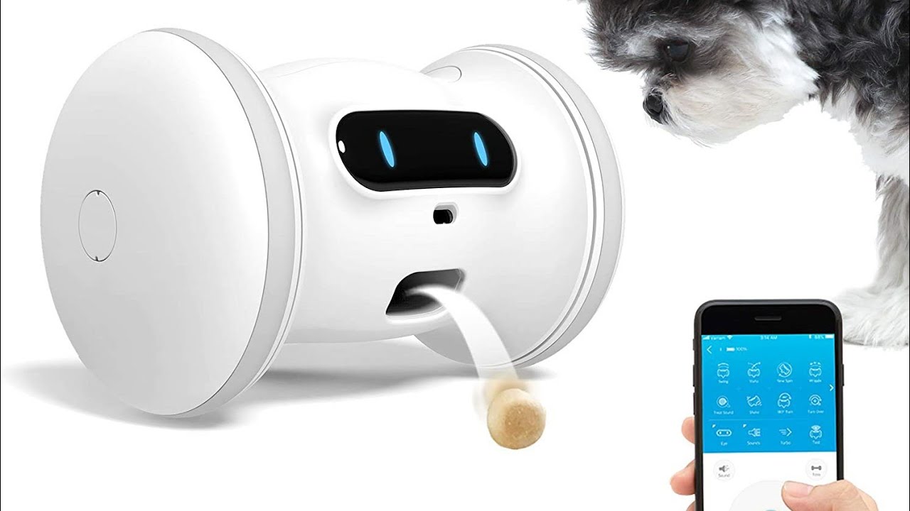 5 Amazing Pet Toys & Gadgets That Are On Another Level▶1