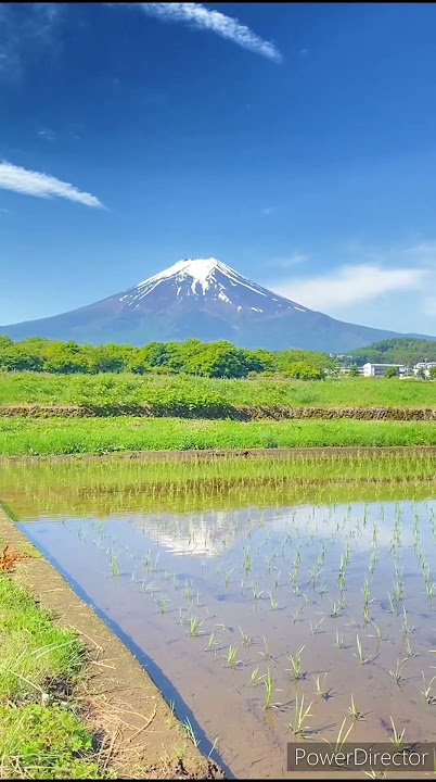 JALIR JANJI@Wirahmasunda