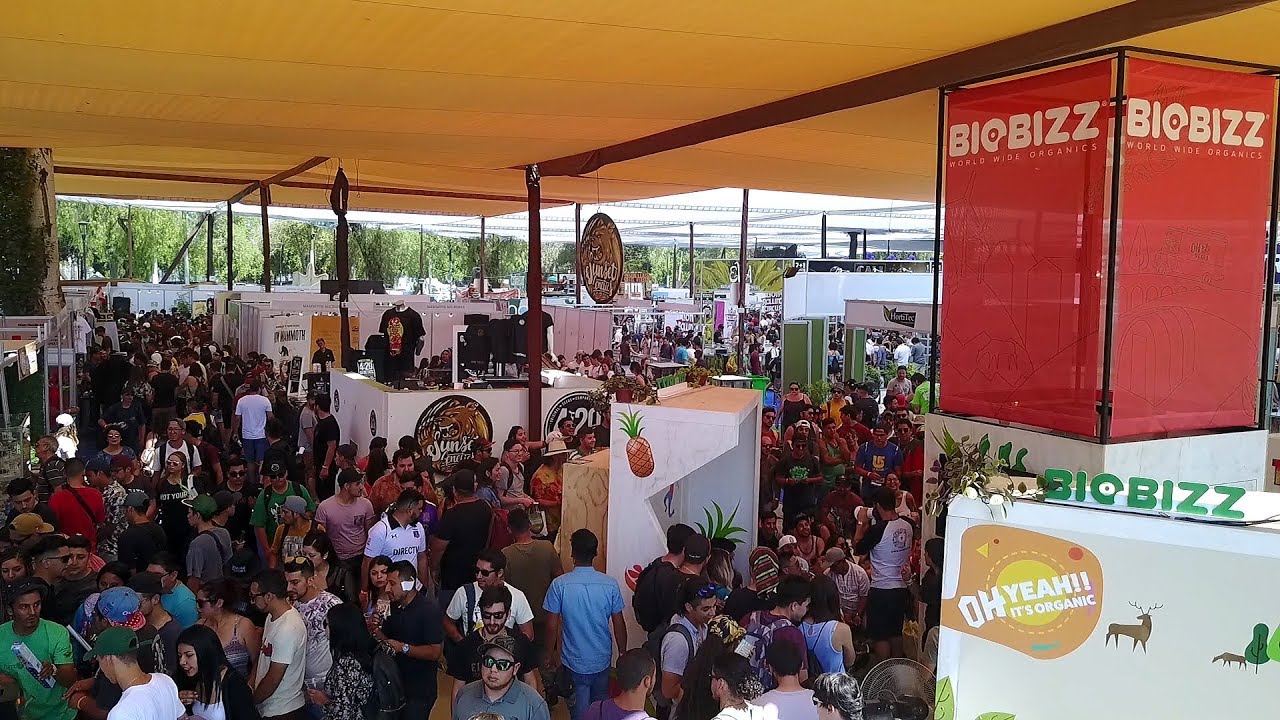 BioBizz Expoweed 2017