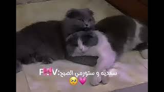 فديتهممم🤭🎀 ا اسفه على السحبه 💗لان الدعم مو حلو علقوا 🙂💋