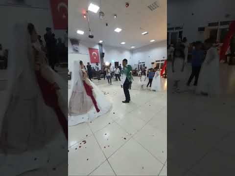 Gelin damat (