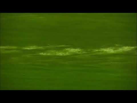 ყველაზე ლამაზი სურა —ძალიან ემოციური—ყურანი