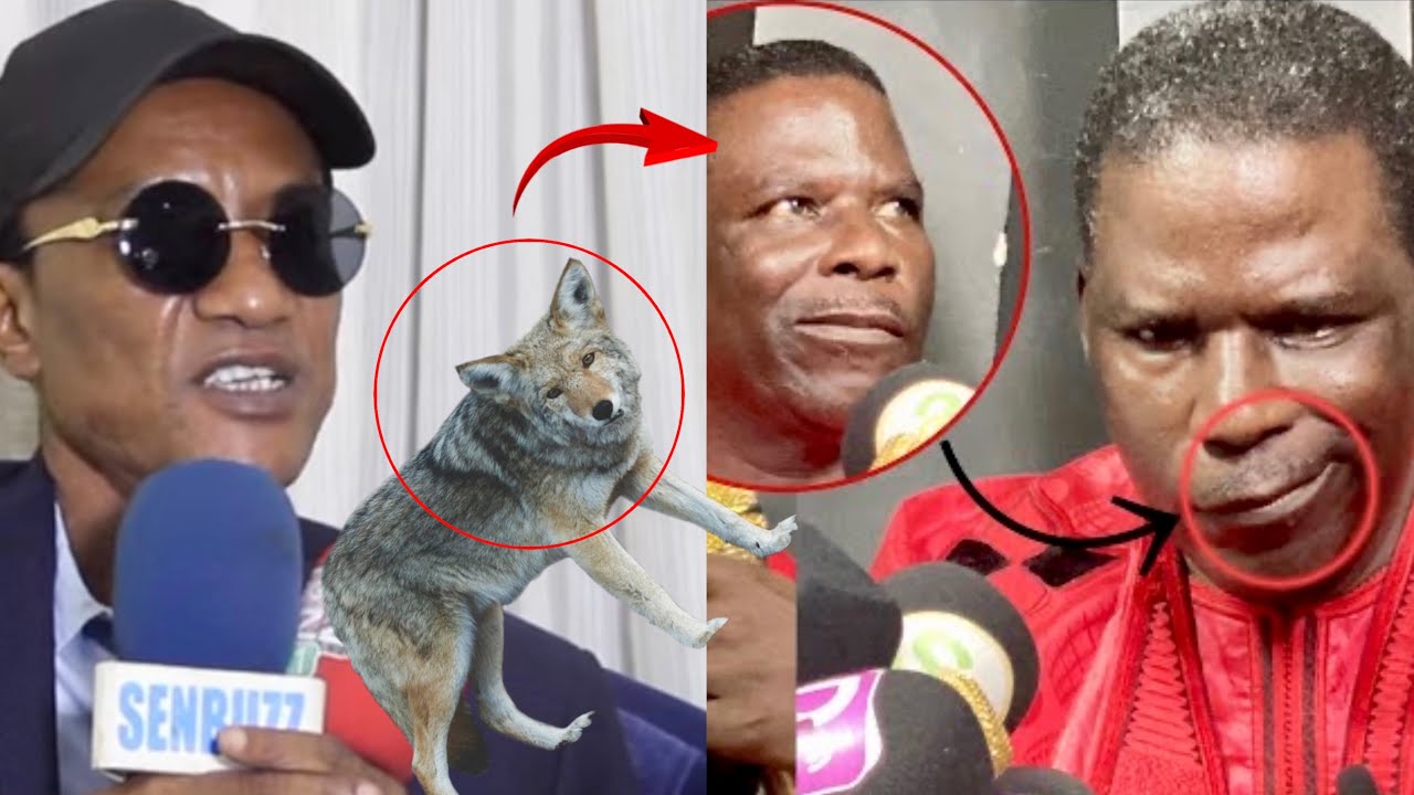 Iran Ndao Dagn Ko Beug R@ye? Docteur Abdoulaye Diallo fait de surprenantes révélations «Sokhor Baxou