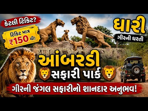 Ambardi Safari Park Dhari | આંબરડી સફારી પાર્ક જતા પહેલા આ વાત જાણી લેજો! #Ambardisafariparkdhari