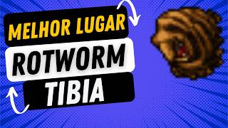 Best Place to Hunt Rotworms, Carrion Worms, Tibia Hunt TASK and Bestiary