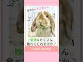 【🐰牧草嫌いのうさぎさんに贈る】繊維質が豊富なうさぎの総合栄養食「Rabbit Gift ラビットギフト」うさぎの動物栄養学に基づき開発された、うさぎさん専用の総合栄養食✨牧草が苦手なうさぎさんにも！