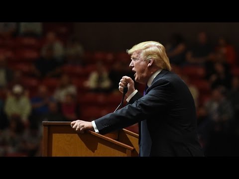 Professor Plans To Teach A Summer Course On 'The Trump Factor'