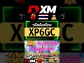 รหัสพันธมิตร XM | โบนัสสมัครสมาชิก 2025 | รหัสโปรโมชั่น XM | รหัสอ้างอิง XM | รหัสโบนัส: XP6GC