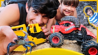 Monster Trucks and Construction Trucks SEA CREATURE Adventure!