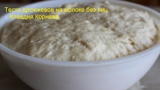 Тесто дрожжевое на молоке без яиц для булочек пирогов пирожков и беляшей Тесто дрожжевое на молоке без яиц для булочек пирогов пирожков и беляшей