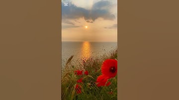 قران كريم ( قد أفلح المؤمنون الذين في صلاتهم خاشعون )
