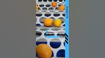 Facet Engineering | Citrus Cleaning & Grading Plant | Complete Turnkey Post-Harvest Solutions 🍊