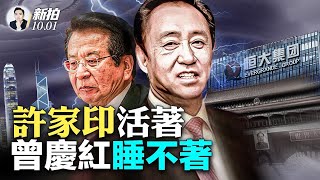 下一個是“王健林”？習清洗商界，抓了許家印還沒完；曾慶紅是許家後台，現在要棄卒保車；許家印在恆大爆雷前就轉走千億資產？他可能早被控制；中共企業假裝“外資”航空公司，專買C919｜新聞拍案驚奇 大宇
