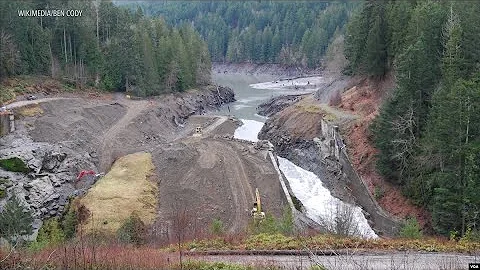 Promising Signs of Recovery on Undammed Elwha River - DayDayNews