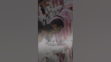 إِنْ كُلُّ مَنْ فِي السَّمَاوَاتِ وَالْأَرْضِ - تلاوة مؤثرة للشيخ ناصر القطامي