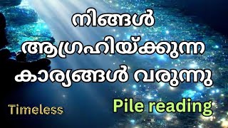 നിങ്ങൾ ആഗ്രഹിക്കുന്ന കാരൃങ്ങൾ വരുന്നു😇😯||Timeless||Pick any Card||Pile reading||Tarot malayalam