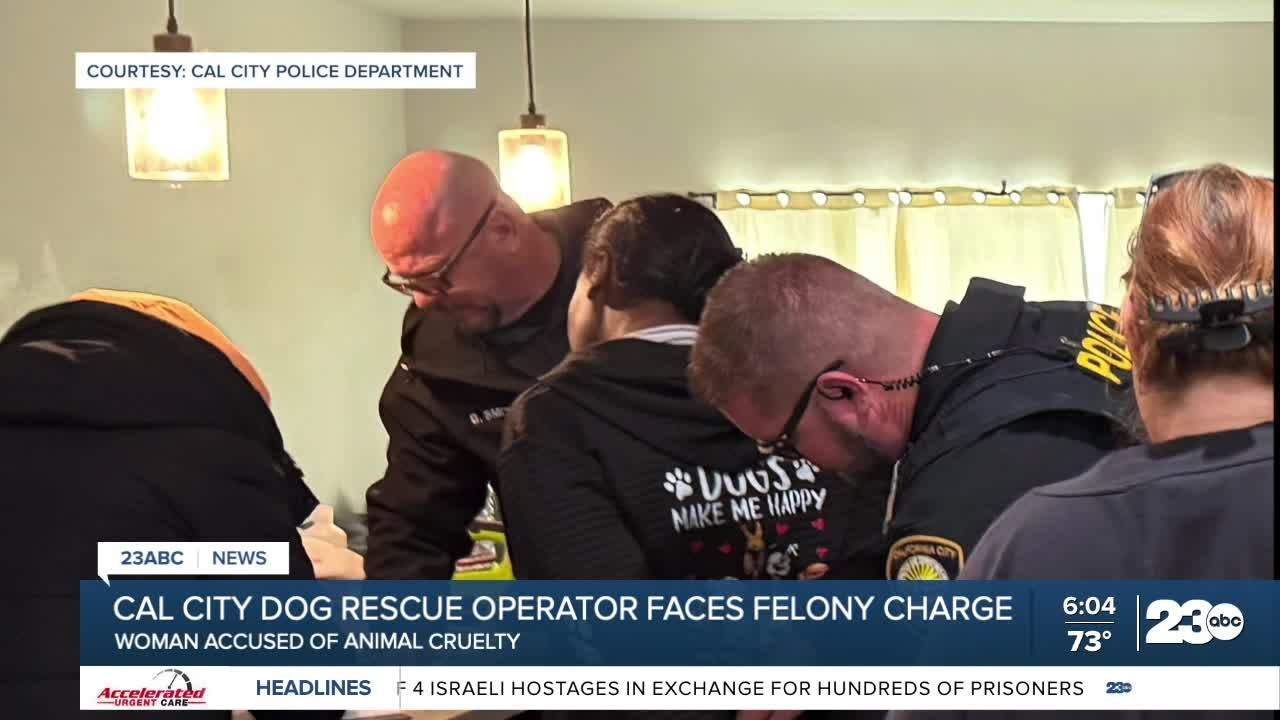 Dog rescue operator in California City charged with animal cruelty ...