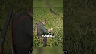 RDR2's Most Unrealistic Details