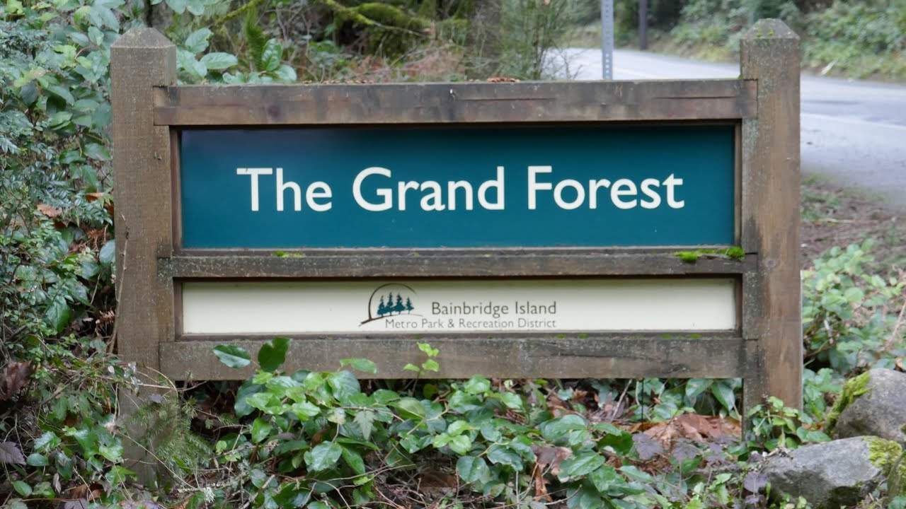The Grand Forest (Bainbridge Island) || NorthwestMom