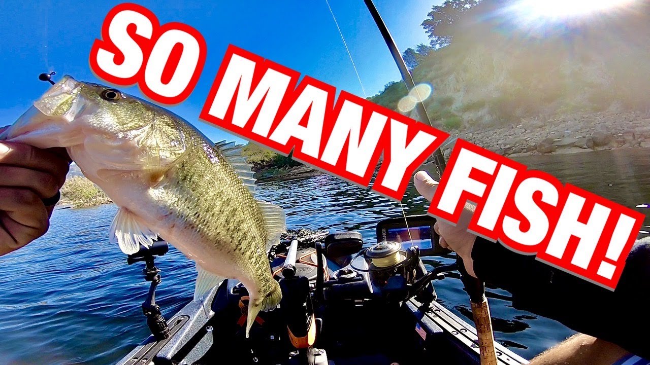 Kayak Fishing Castaic Lake! (upper) AMAZING DAY BASS FISHING! YouTube