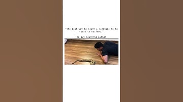 Serious Man Learning Python 🐍 #meme #shorts #short #youtubeshorts #viralshorts